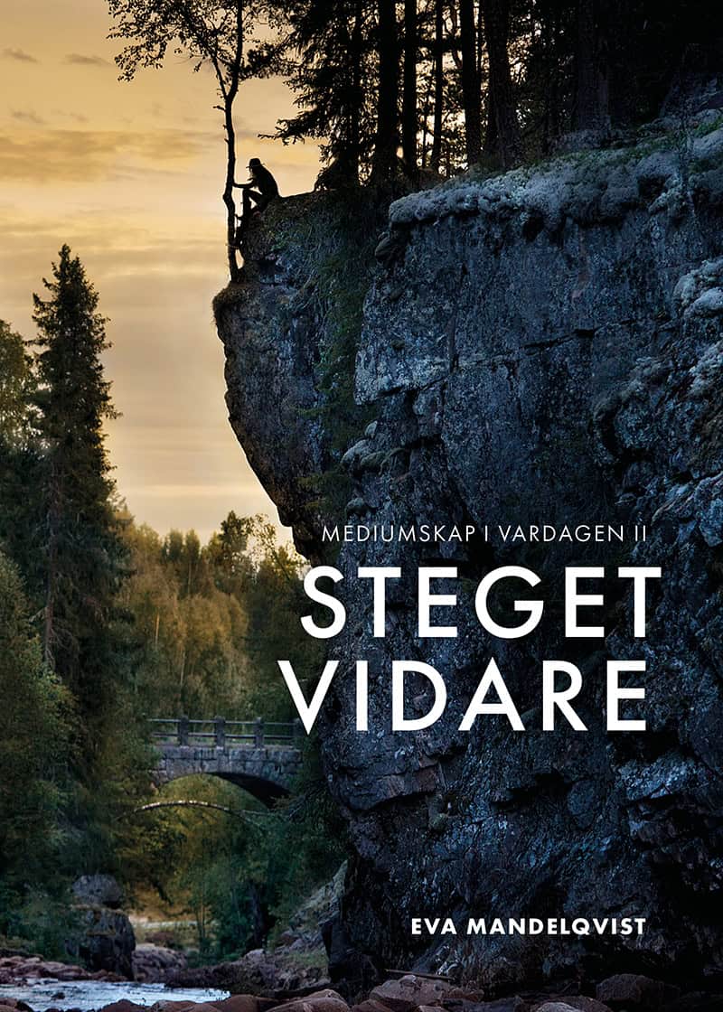 Eva Mandelqvist : Mediumskap i vardagen II : steget vidare