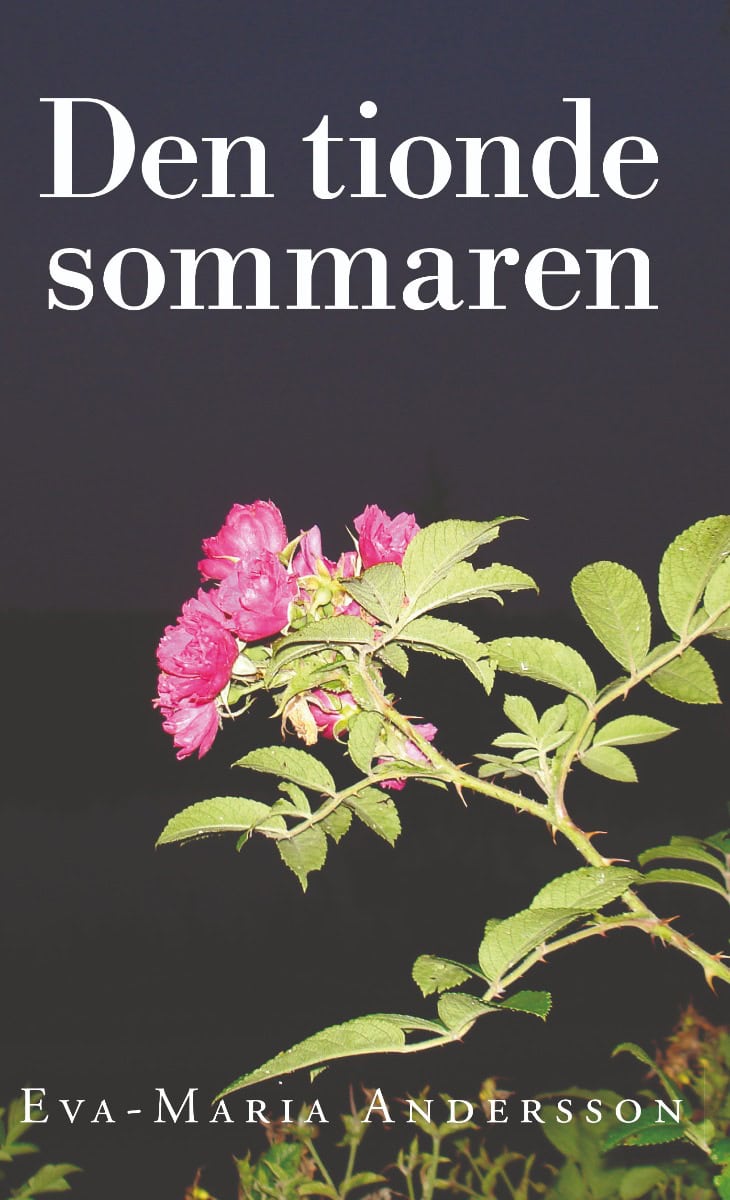 Eva-Maria Andersson : Den tionde sommaren