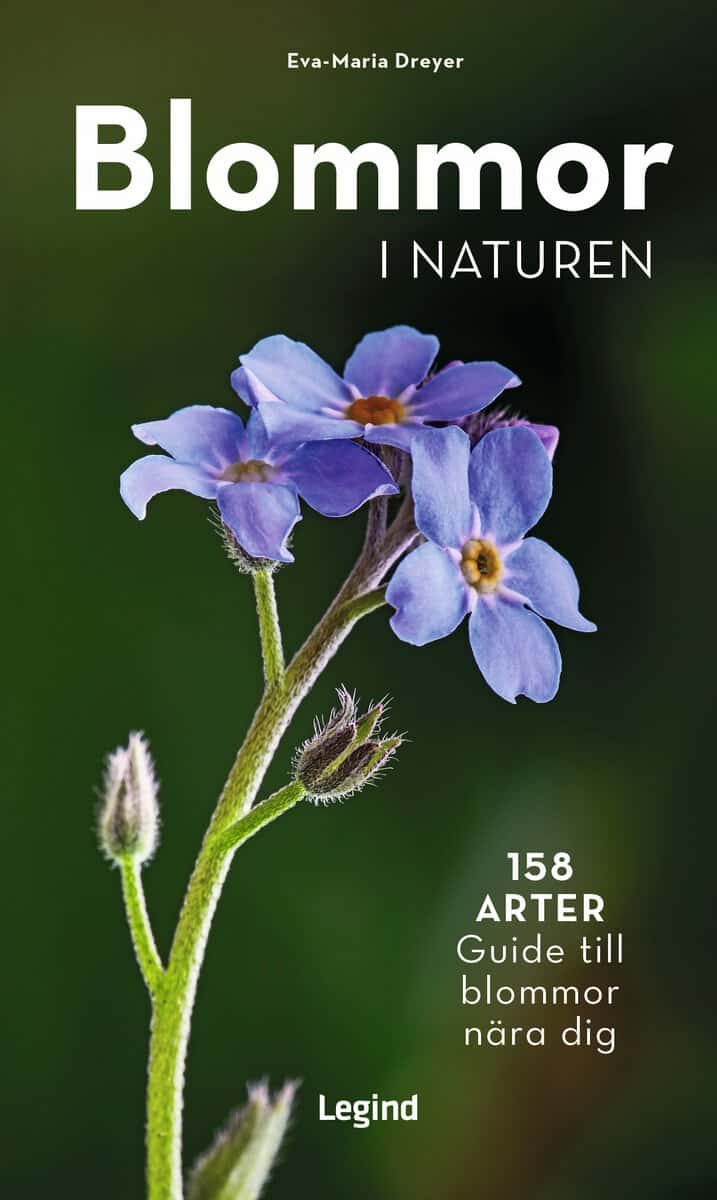 Eva-Maria Dreyer : Blommor i naturen : 158 arter, guide til blommor nära dig
