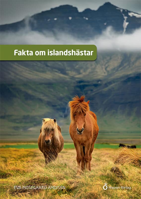 Eva Mosegaard Amdisen : Fakta om islandshästar