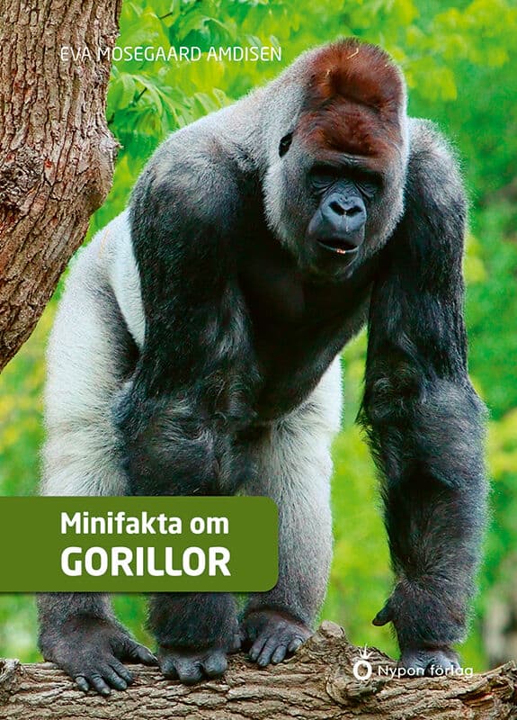 Eva Mosegaard Amdisen : Minifakta om gorillor