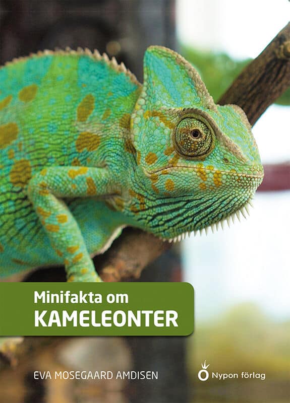 Eva Mosegaard Amdisen : Minifakta om kameleonter