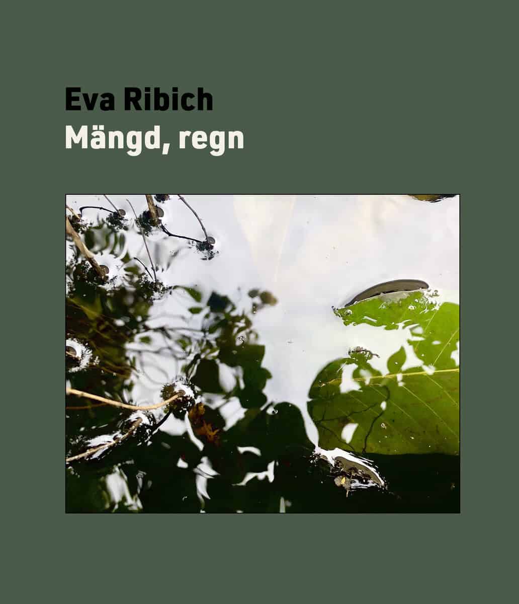 Eva Ribich : Mängd, regn