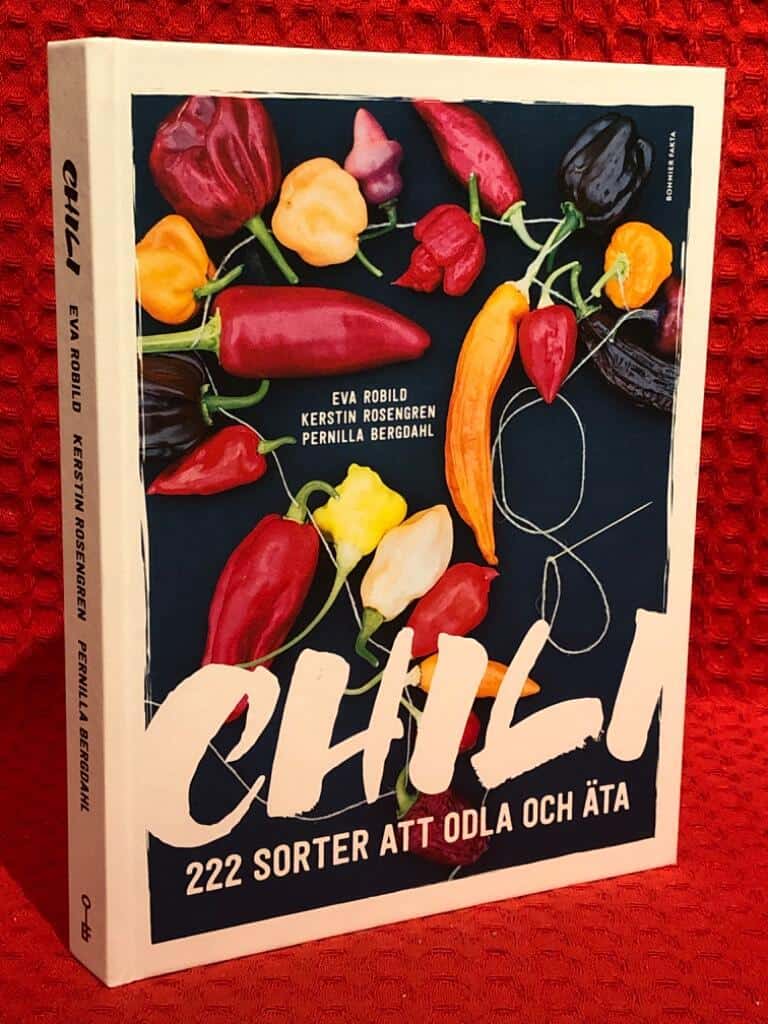 Eva Robild : Chili