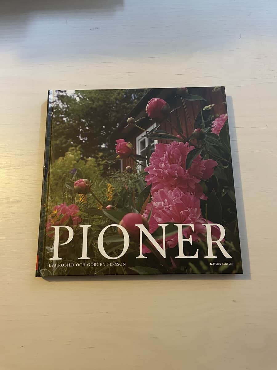 Eva Robild : Pioner