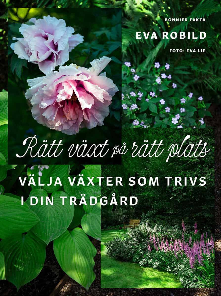 Eva Robild : Rätt växt på rätt plats : välja växter som trivs i din trädgård