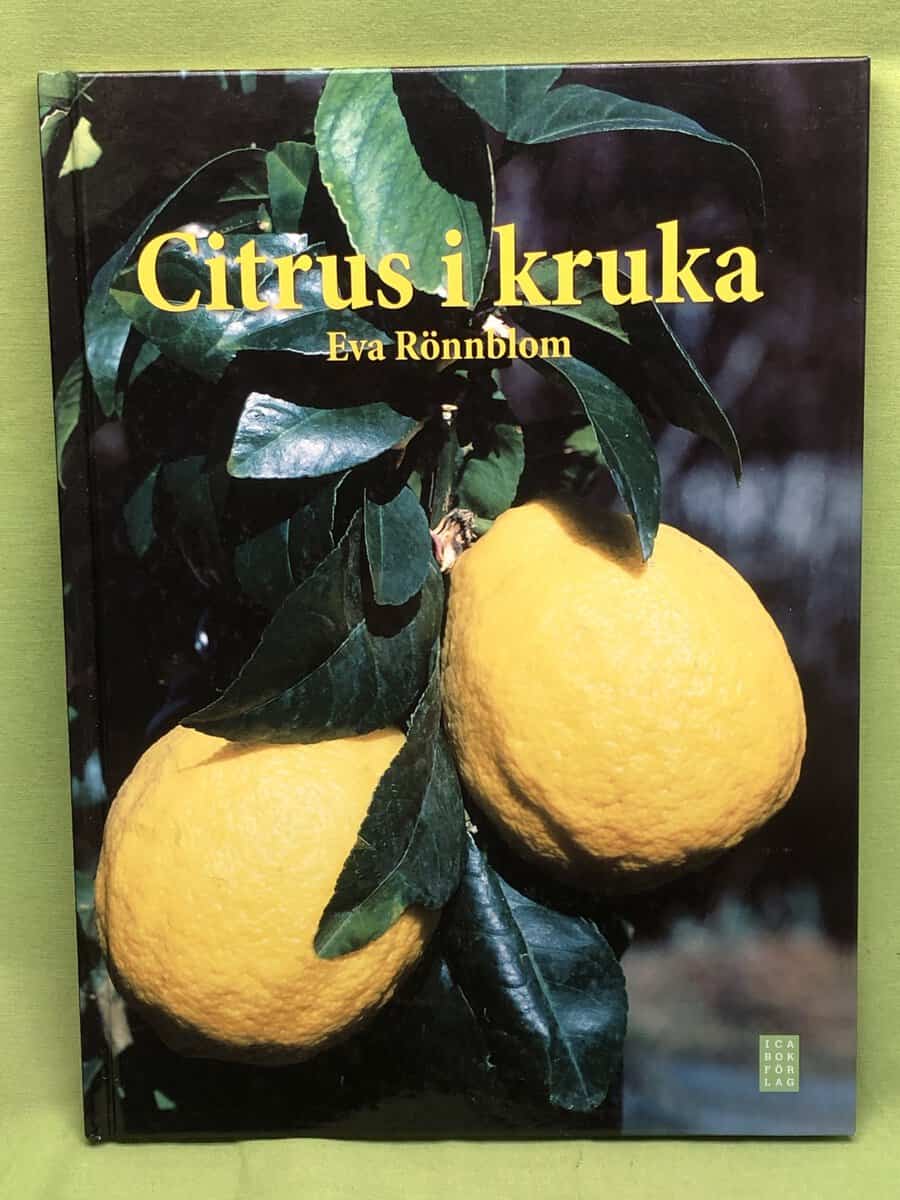 Eva Rönnblom : Citrus i kruka