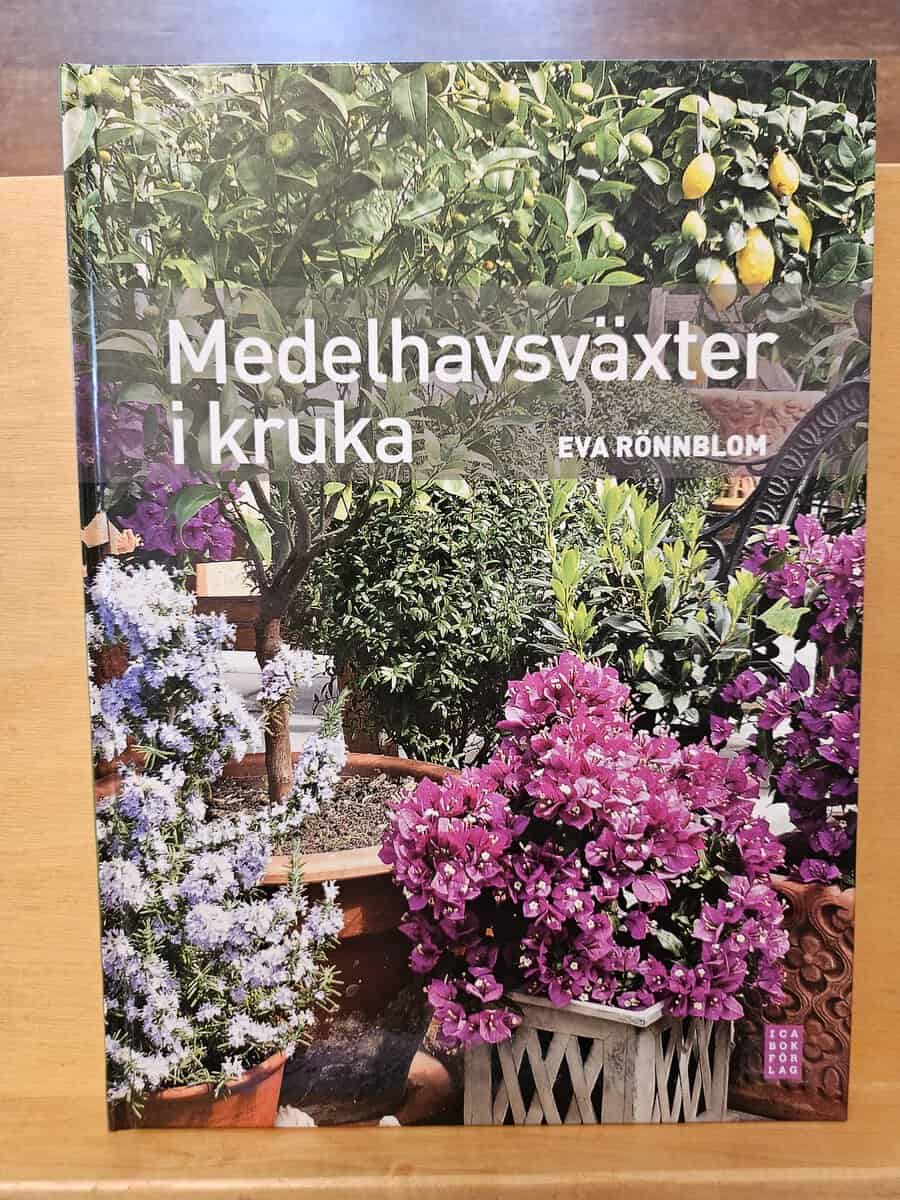 Eva Rönnblom : Medelhavsväxter i kruka