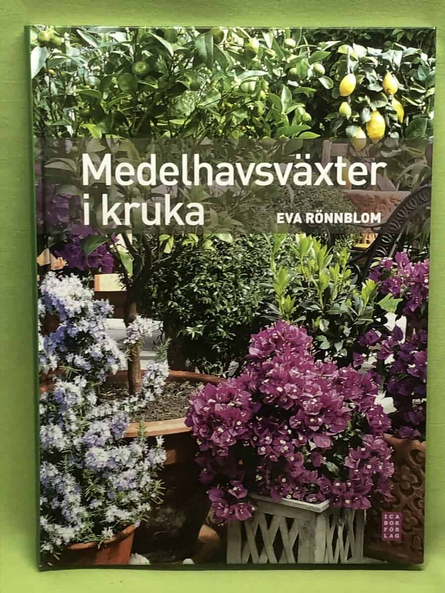 Eva Rönnblom : Medelhavsväxter i kruka