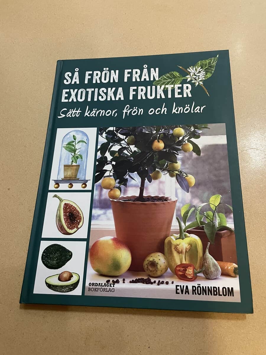 Eva Rönnblom : Så frön från exotiska frukter sätt kärnor, frön och knölar
