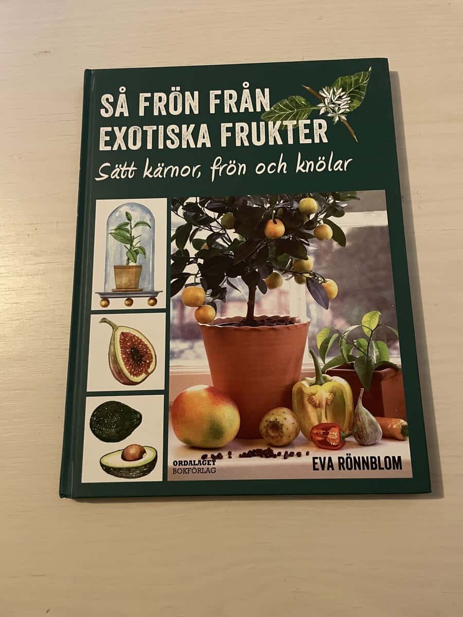 Eva Rönnblom : Så frön från exotiska frukter