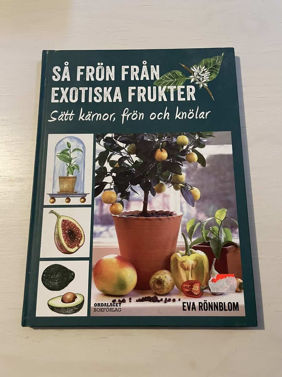 Eva Rönnblom : Så frön från exotiska frukter