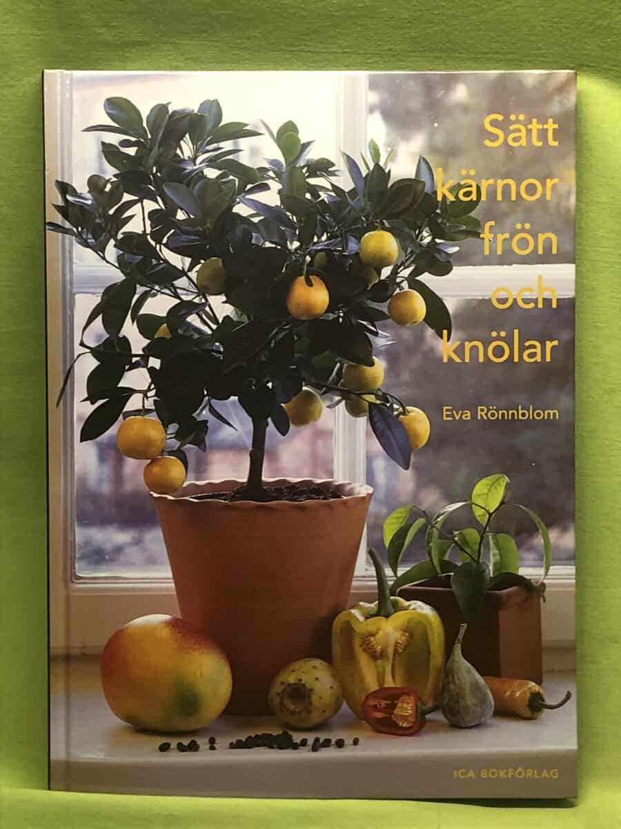 Eva Rönnblom : Sätt kärnor, frön och knölar