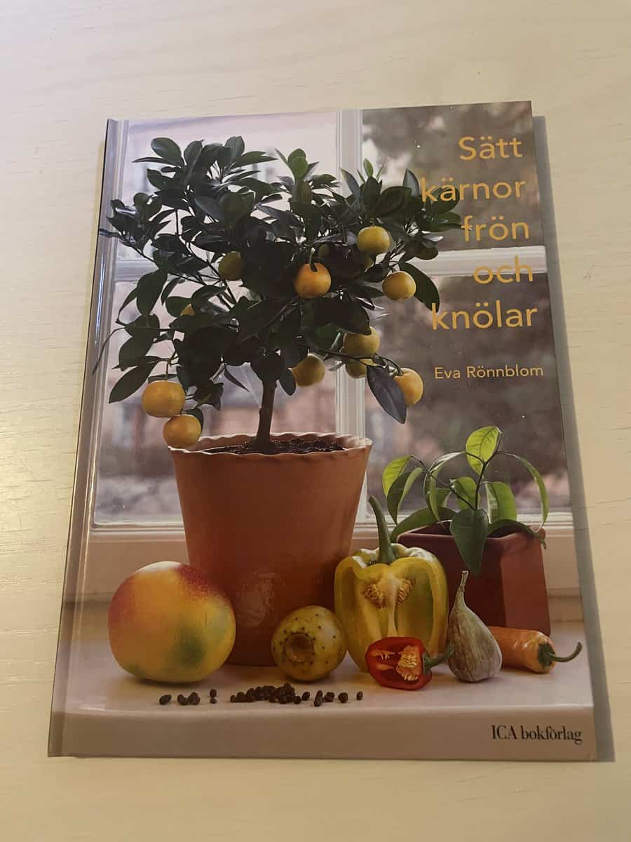 Eva Rönnblom : Sätt kärnor, frön och knölar