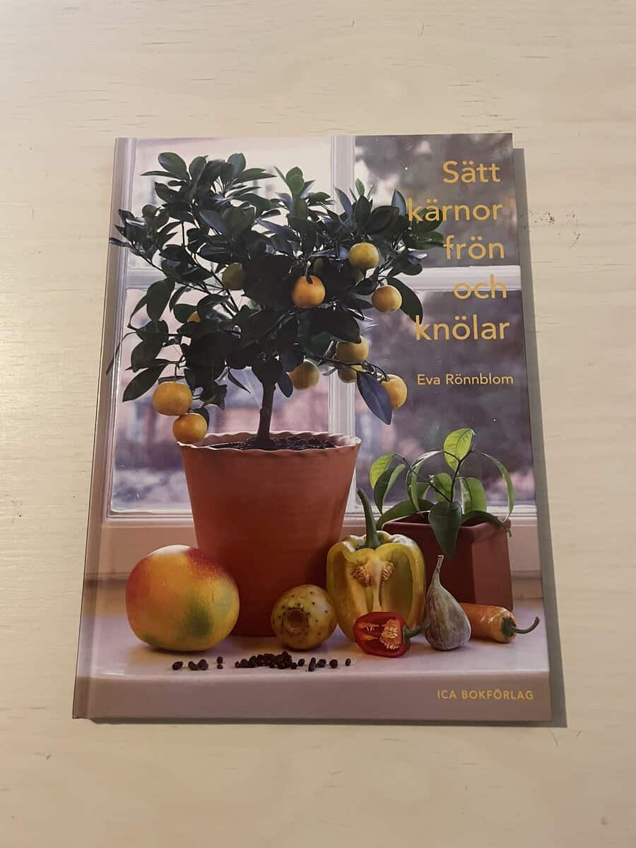 Eva Rönnblom : Sätt kärnor, frön och knölar