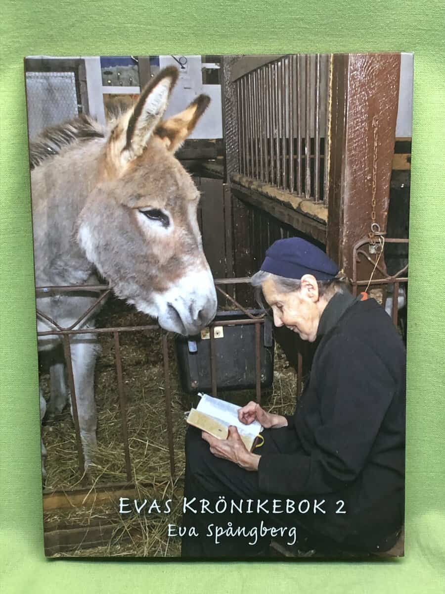 Eva Spångberg : Evas krönikebok 2