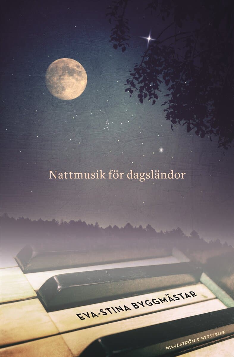 Eva-Stina Byggmästar : Nattmusik för dagsländor