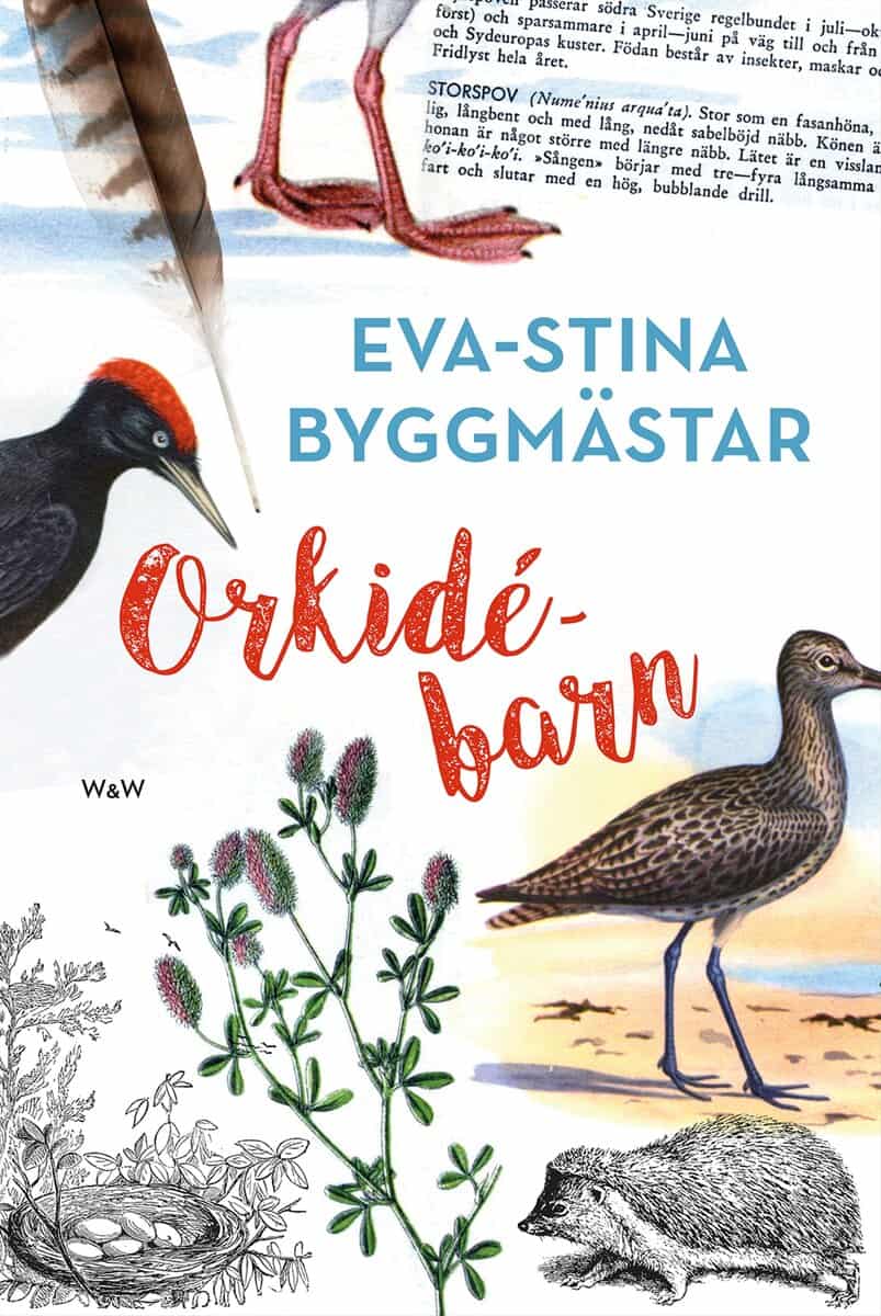 Eva-Stina Byggmästar : Orkidébarn