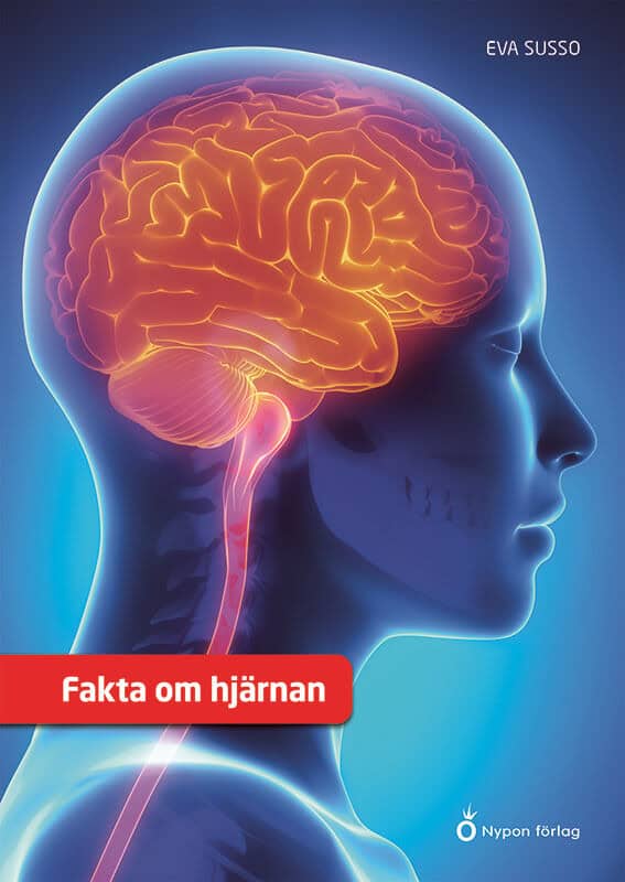 Eva Susso : Fakta om hjärnan