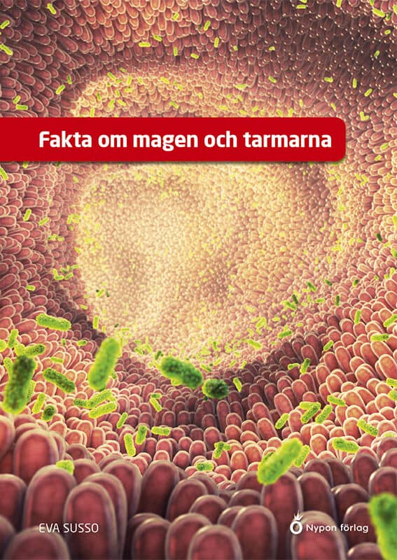 Eva Susso : Fakta om magen och tarmarna