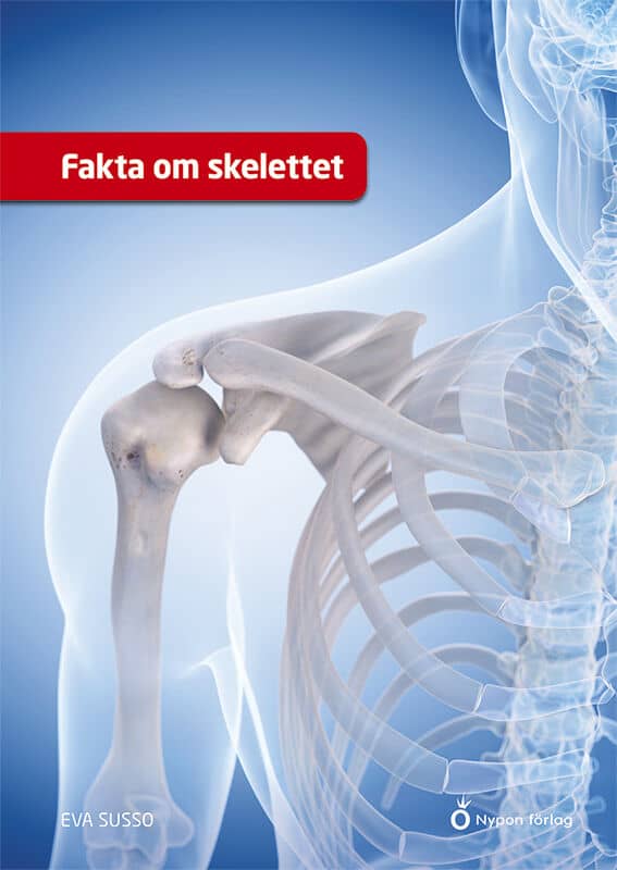 Eva Susso : Fakta om skelettet