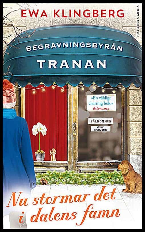 Ewa Klingberg : Nu stormar det i dalens famn