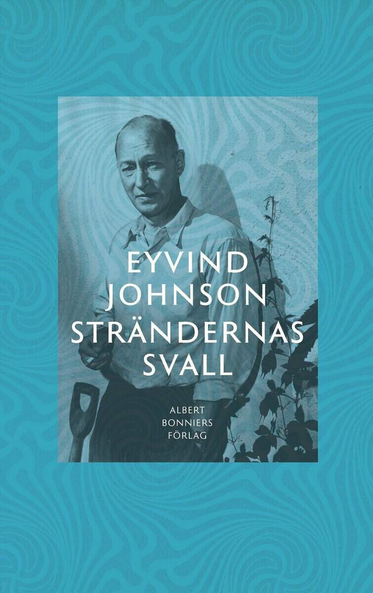 Eyvind Johnson : Strändernas svall