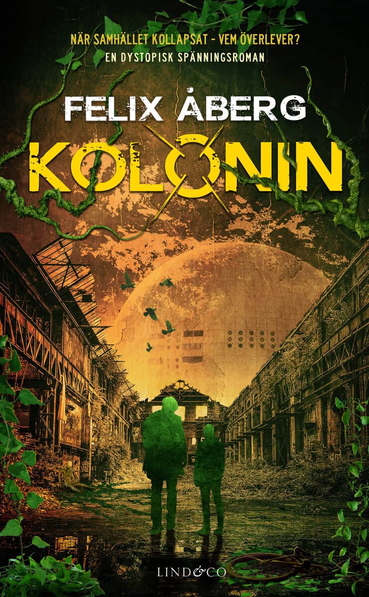 Felix Åberg : Kolonin