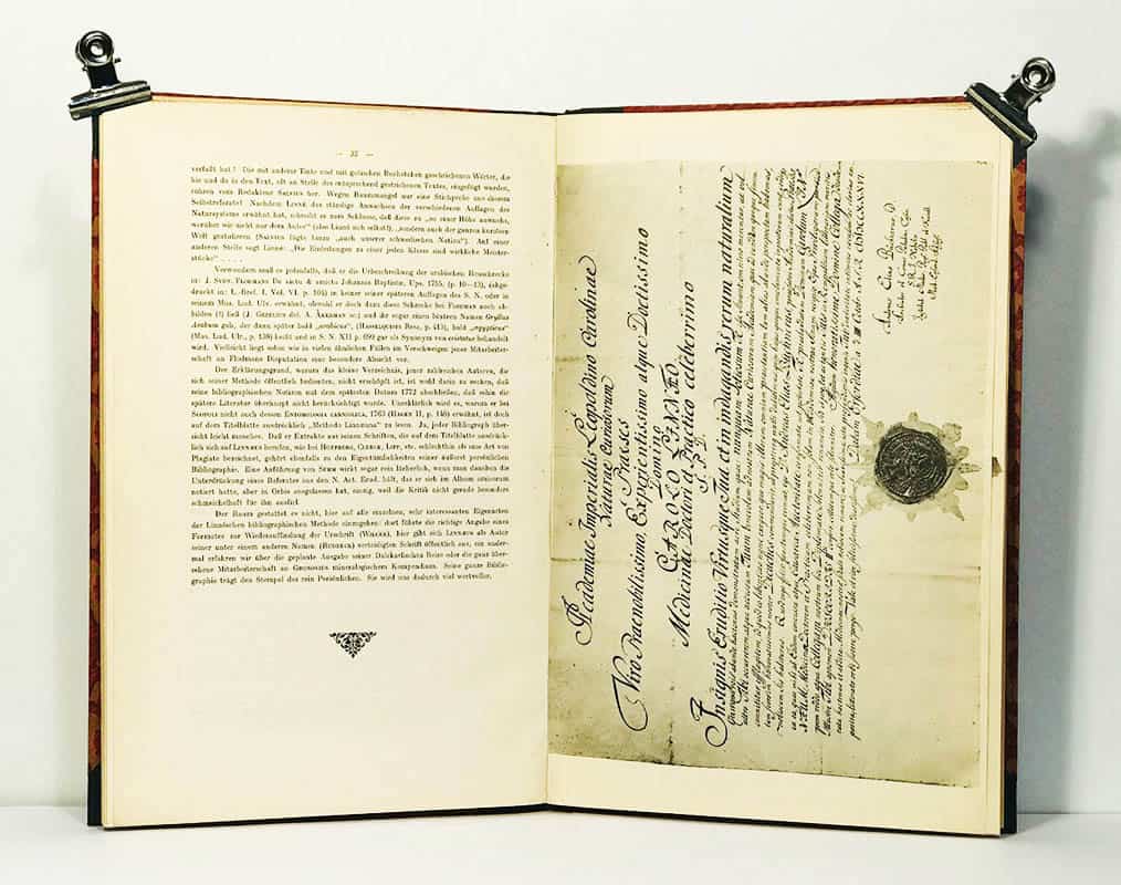 Felix Bryk : Linnæus im Auslande. Linnés gesammelte Jugendschriften autobiographischen Inhaltes aus den Jahren 1732-1738. Nachtrag herausgegeben von Felix Bryk