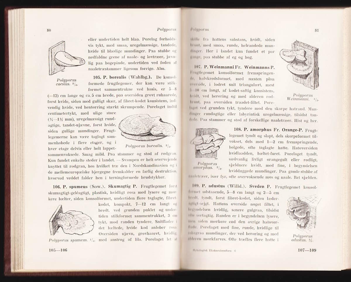 Ferdinandsen, C. ; Winge, Ø : Mykologisk ekskursionsflora. Vejledning til bestemmelse af danske storsvampe. Med 664 originale figurer