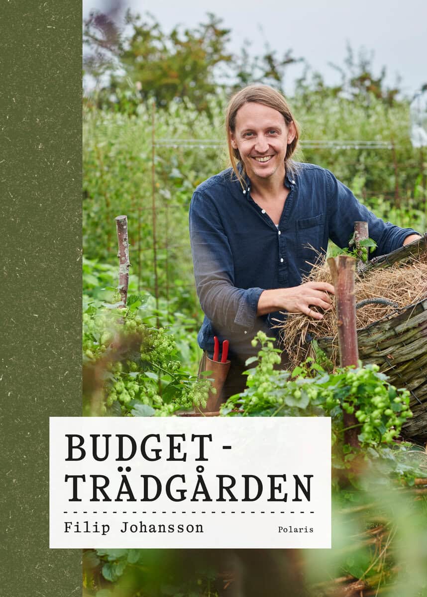 Filip Johansson : Budgetträdgården