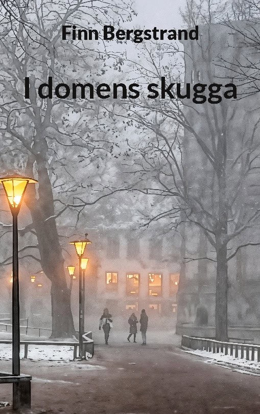 Finn Bergstrand : I domens skugga