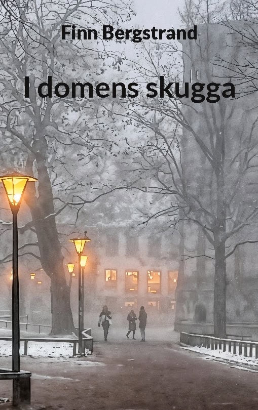 Finn Bergstrand : I domens skugga
