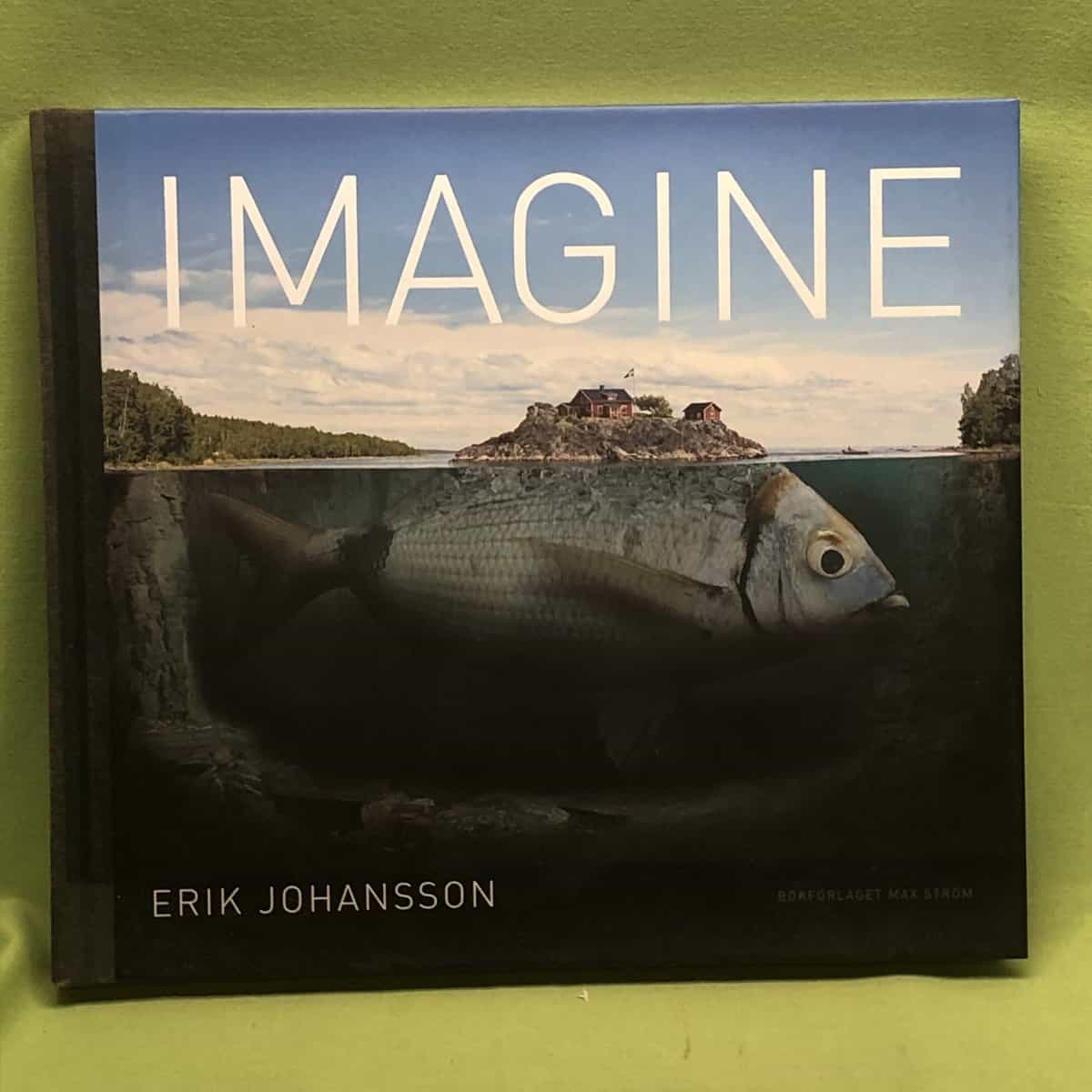 Fiona Munro : Dödskalleön