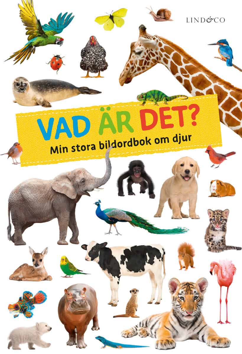 Fischer Verlag : Vad är det?