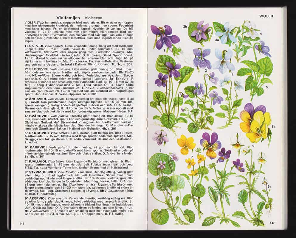 Fitter, Richard (1913-2005) ; Fitter, Alastair ; Blamey, Marjorie : Bonniers flora i färg