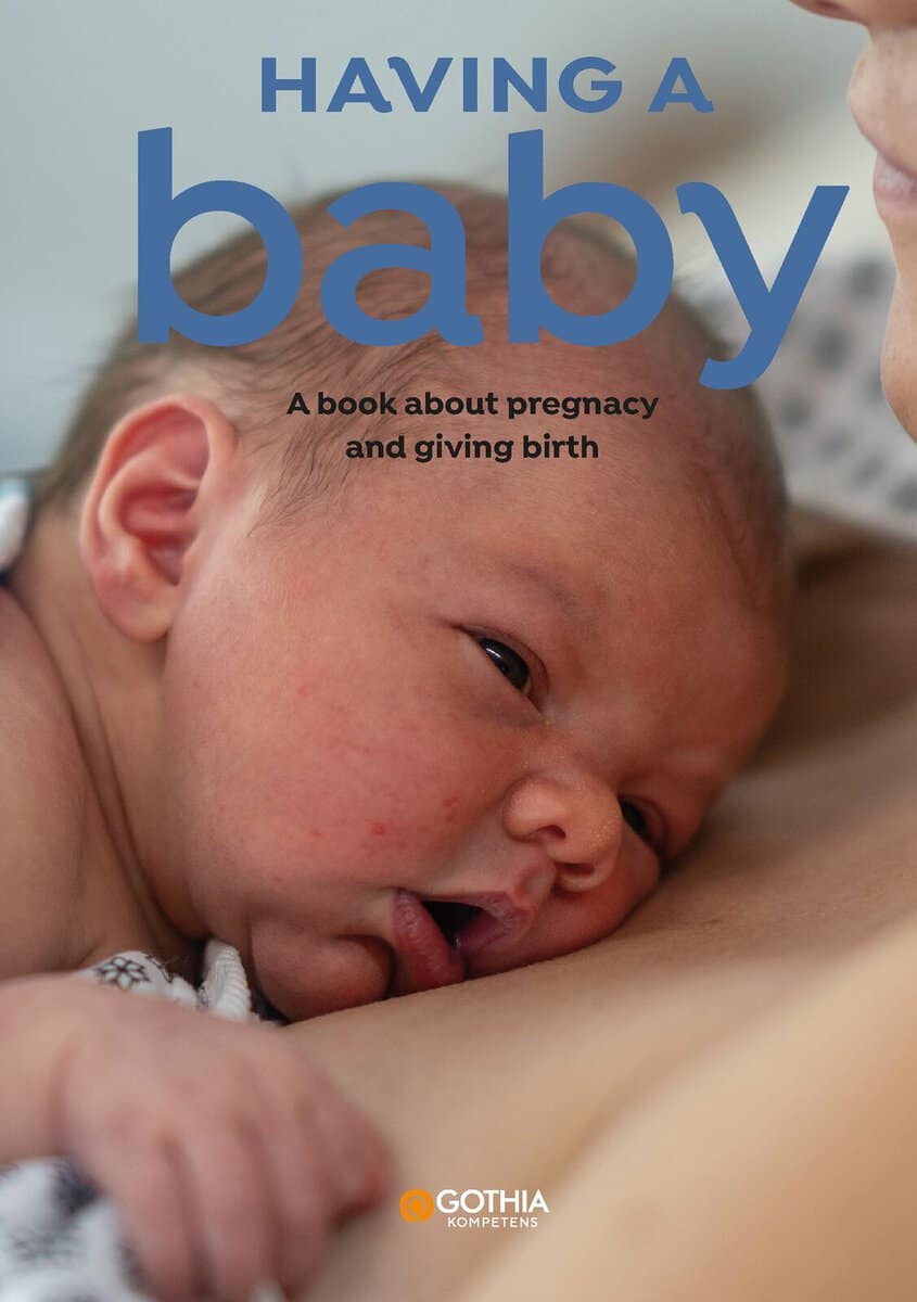 Fjellvang, Hanne ; Richter, Linn : Having a baby