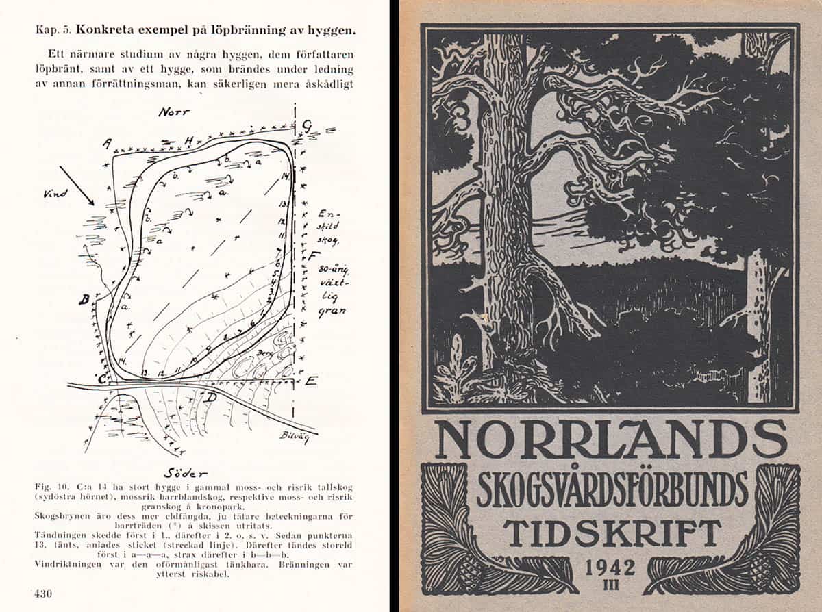 Folke Bromée : Om tekniken vid hyggesbränning