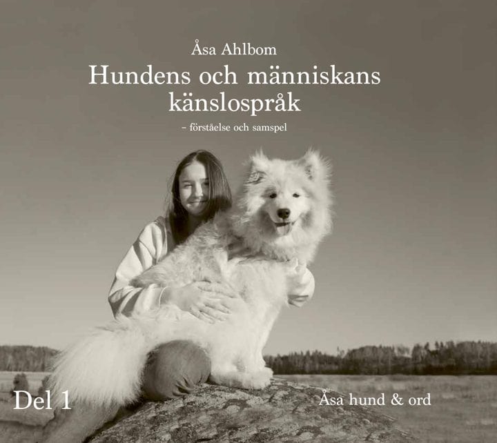 Förståelse och samspel