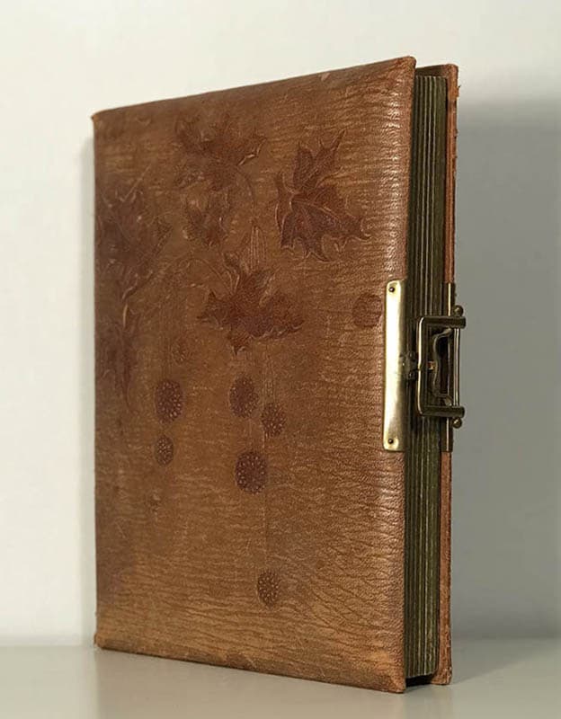 Fotoalbum i jugenstil från sekekskiftet 1900 för Ateljéporträtt (för fotografier)