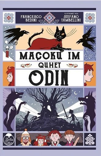 Francesco Bedini : Il mio gatto Odino