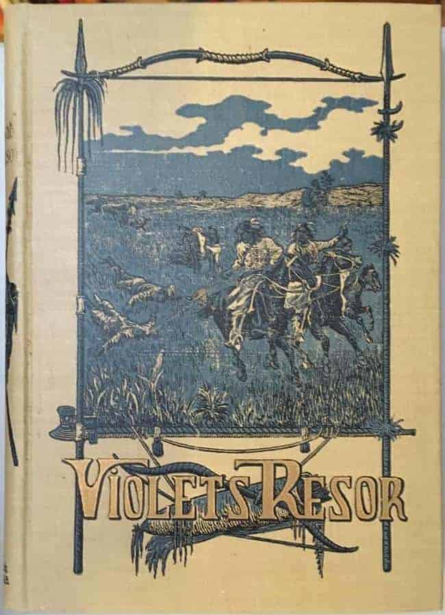 Frederick Marryat : Violets äventyrliga resor tilll sjöss och lands