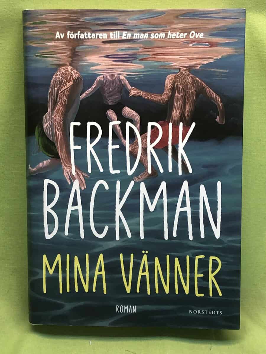 Fredrik Backman : Mina vänner