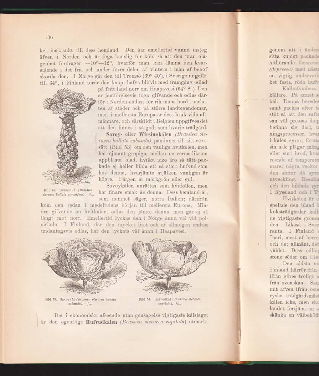 Fredrik Elfving : De vigtigaste kulturväxterna