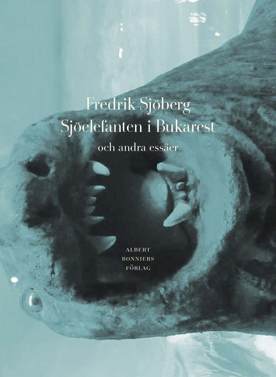 Fredrik Sjöberg : Sjöelefanten i Bukarest