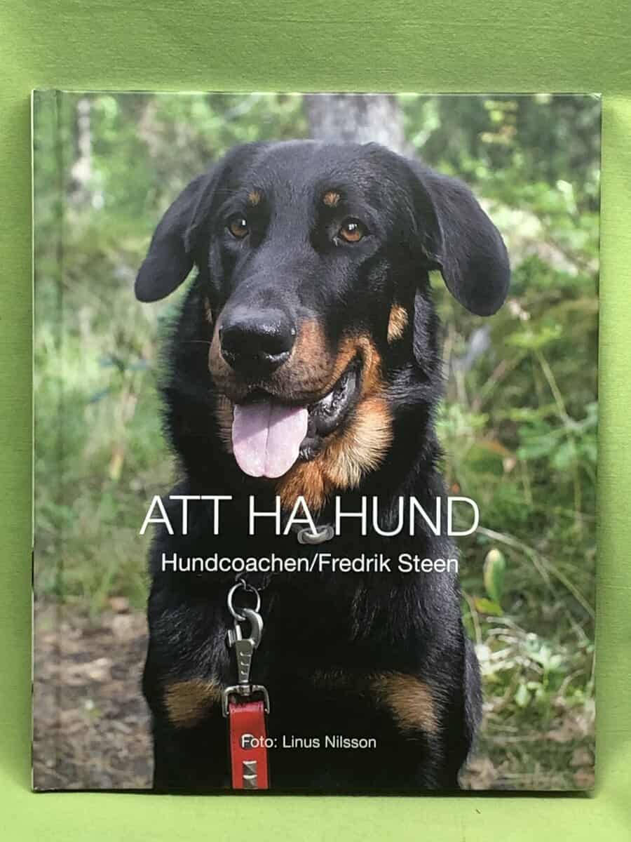 Fredrik Steen : Att ha hund