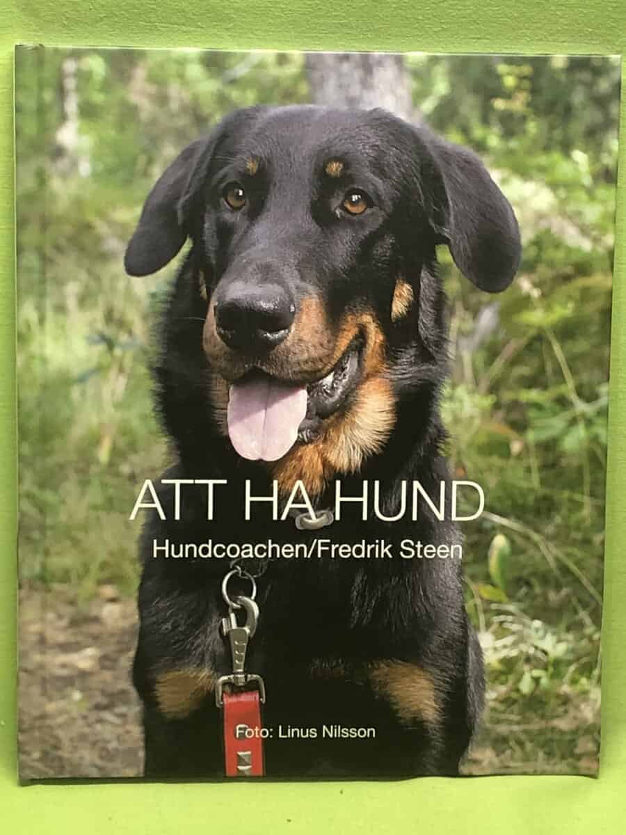 Fredrik Steen : Att ha hund