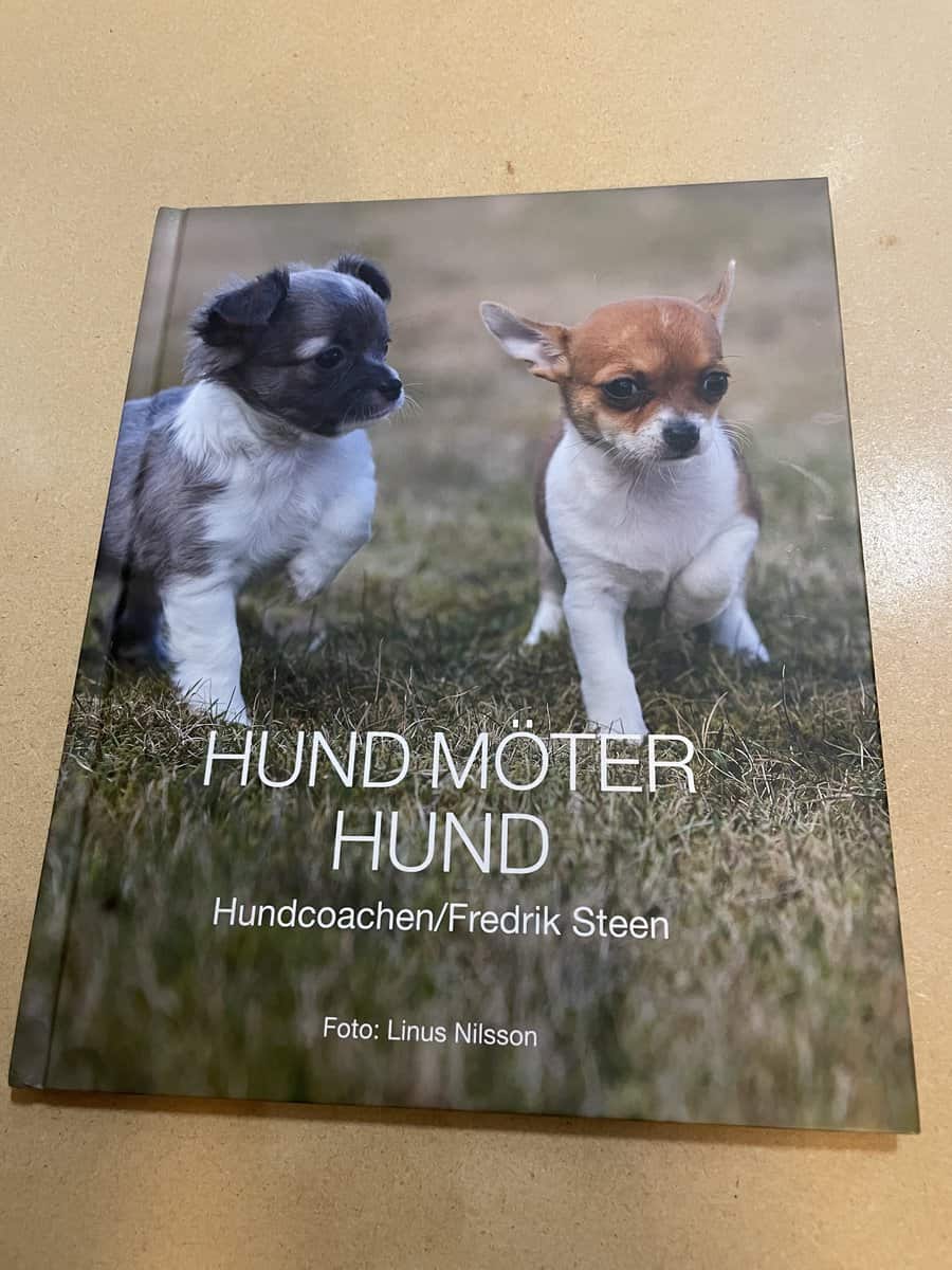 Fredrik Steen : Hund möter hund 5