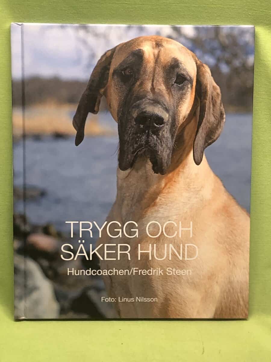 Fredrik Steen : Trygg och säker hund