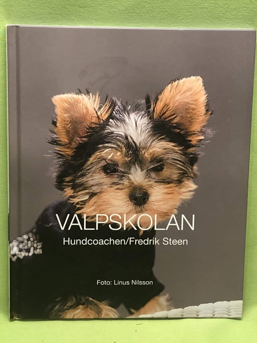 Fredrik Steen : Valpskolan
